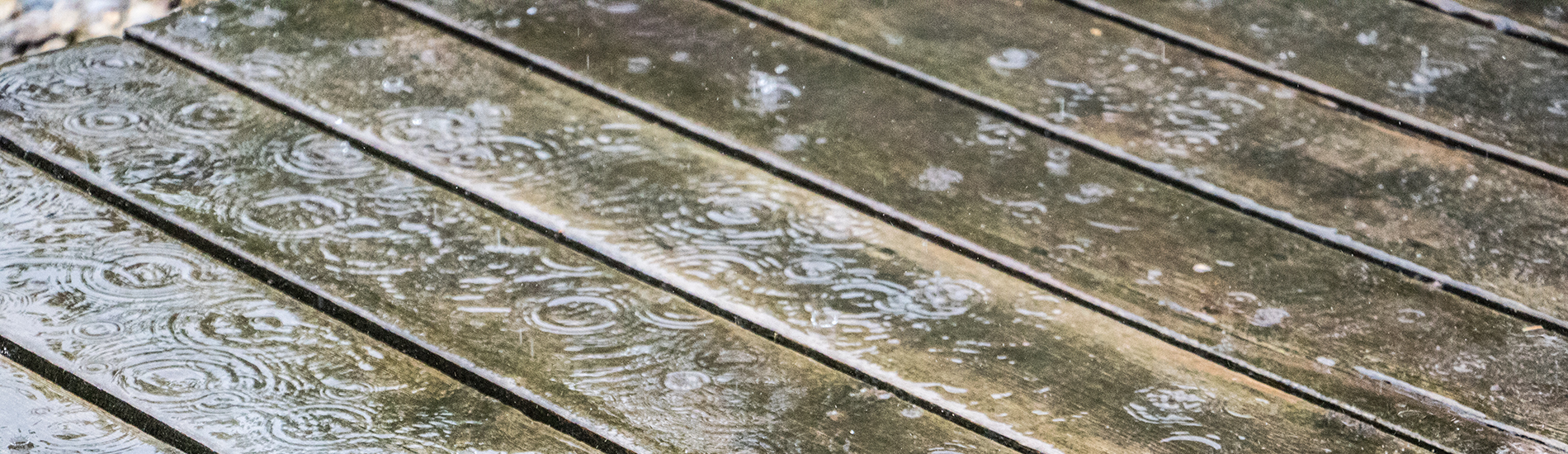 Nach Regen kommt immer Sonnenschein
